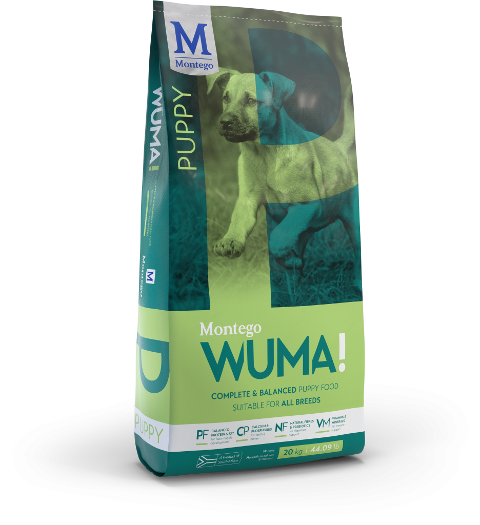 MONTEGO WUMA PUPPY 20KG JMH Pet Food Eshop